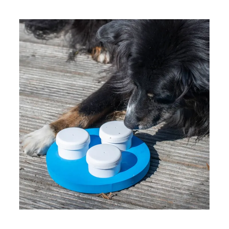 Hundespielzeug & Sport PROCYON Schnüffel-Ring jetzt online