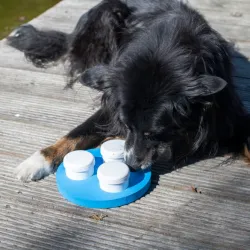 Hundespielzeug & Sport PROCYON Schnüffel-Ring jetzt online