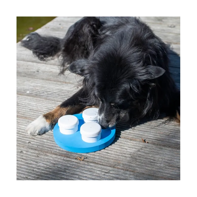 Hundespielzeug & Sport PROCYON Schnüffel-Ring jetzt online