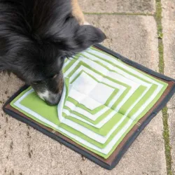 Hundespielzeug & Sport PROCYON Schnüffelpyramide jetzt online