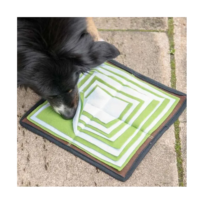 Hundespielzeug & Sport PROCYON Schnüffelpyramide jetzt online