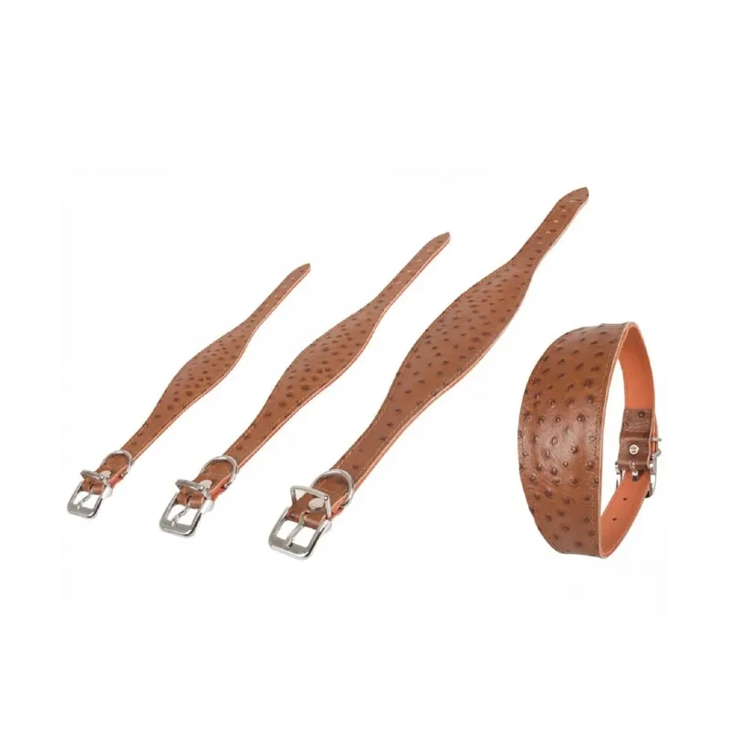 Halsbänder Karlie Windhund-Halsband Ventus - 55cm / Braun jetzt online