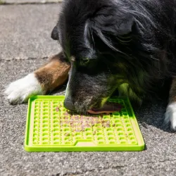 Hundespielzeug & Sport PROCYON Ladi Mat Schleckplatte Small jetzt...