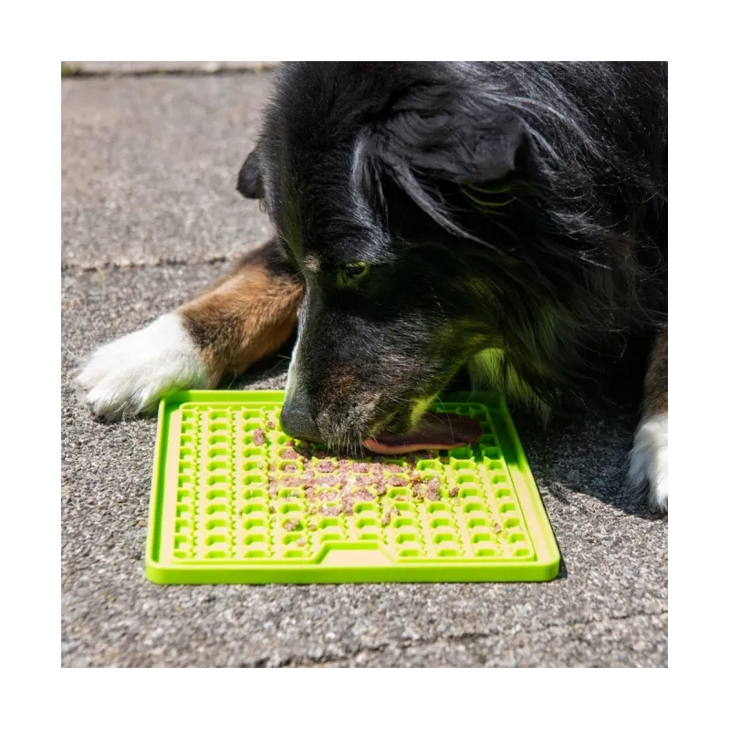 Hundespielzeug & Sport PROCYON Ladi Mat Schleckplatte Small jetzt...