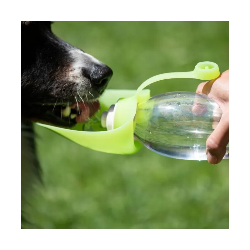 Reise & Transport PROCYON Trinkflasche Leaf jetzt online