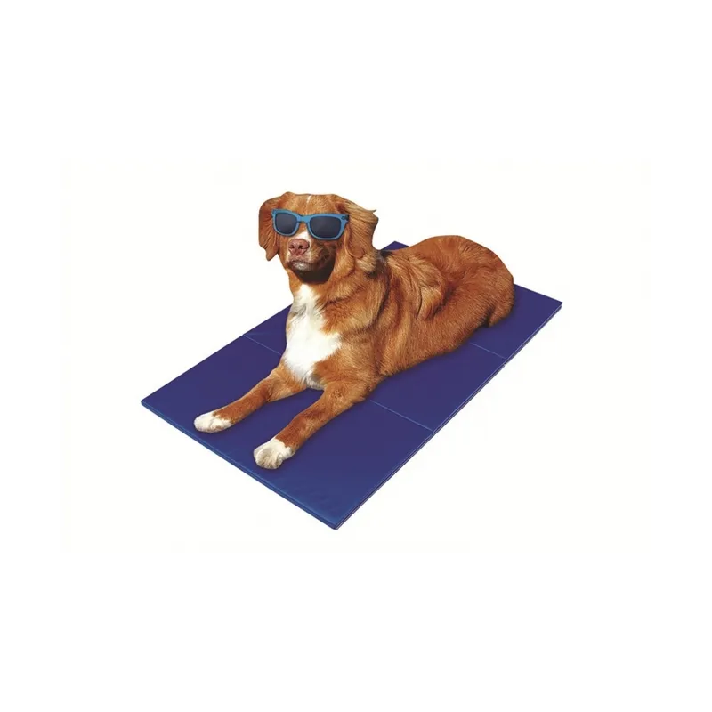 Betten & Körbe Pet-Star Kühlmatte - 65 x 50 cm jetzt online