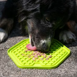 Hundespielzeug & Sport PROCYON Ladi Mat Schleckplatte Hexagon...