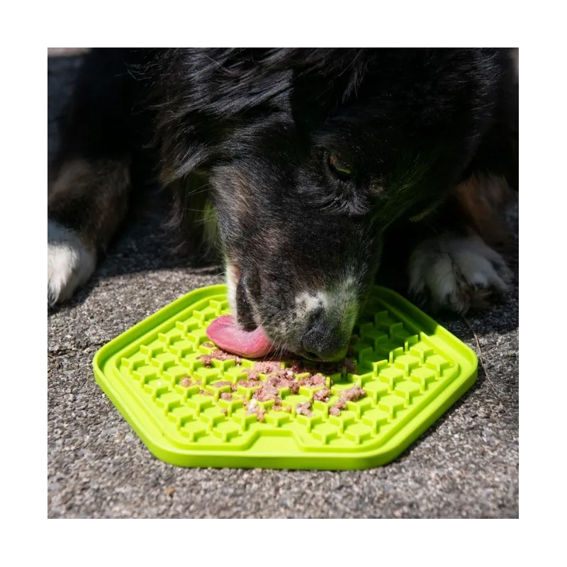 Hundespielzeug & Sport PROCYON Ladi Mat Schleckplatte Hexagon...