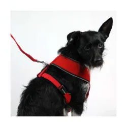 Halsbänder & Leinen Pet-Star Softgeschirr / Netzgeschirr - Rot -...