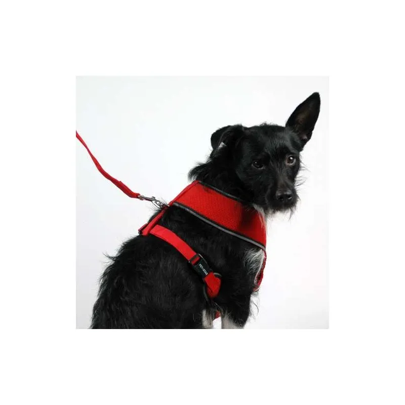 Halsbänder & Leinen Pet-Star Softgeschirr / Netzgeschirr - Rot -...