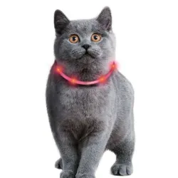 Katzenhalsbänder & Geschirre Karlie Visio Light Cat LED-Schlauch...