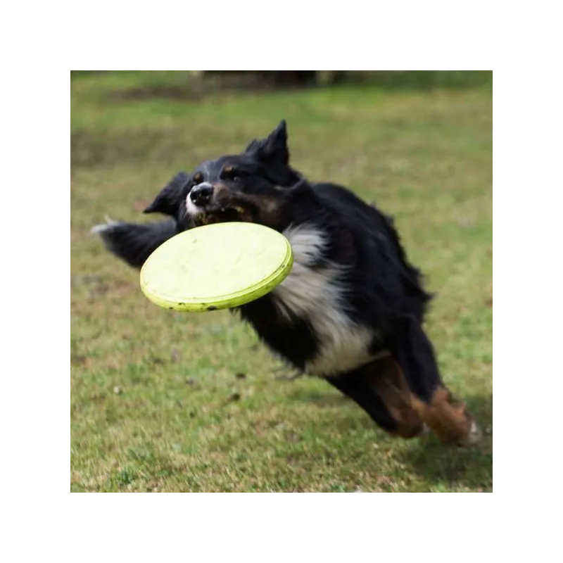Hundespielzeug & Sport PROCYON TPR Frisbee jetzt online