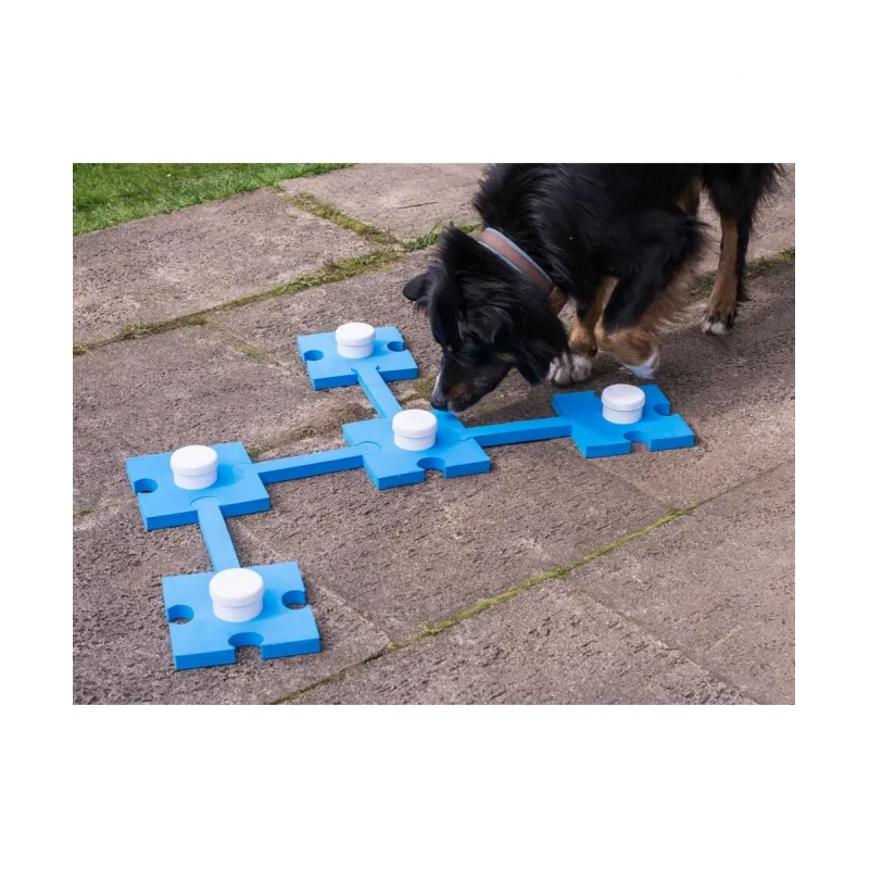 Hundespielzeug & Sport PROCYON Schnüffelspaß - blau jetzt online