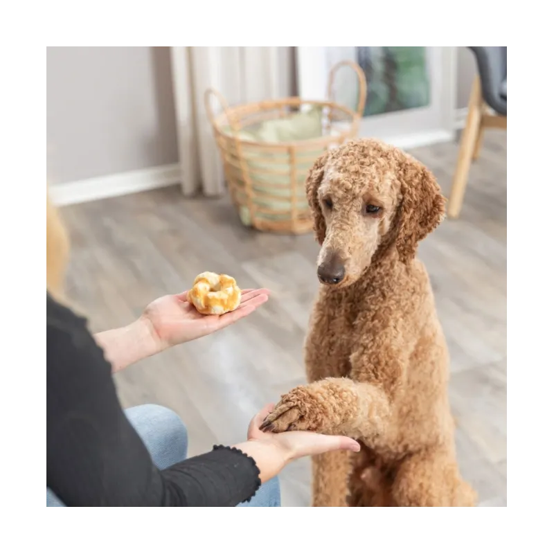 Hundesnacks Trixie Denta Fun Twists aus Kollagen - 2 St./85 g...