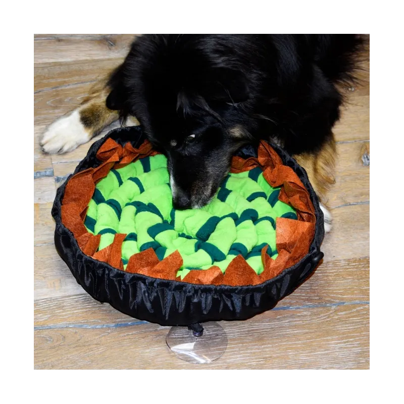 Hundespielzeug & Sport PROCYON Donut Schnüffelmatte jetzt online