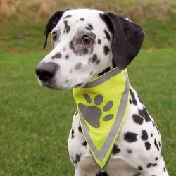 Unterwegs Trixie Sicherheitshalstuch - L-XL jetzt online