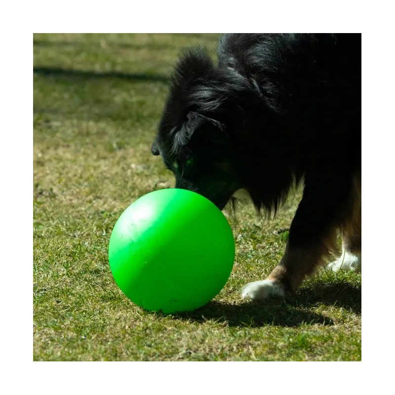 Hundespielzeug & Sport PROCYON Treibball Größe S - extra stabil -...