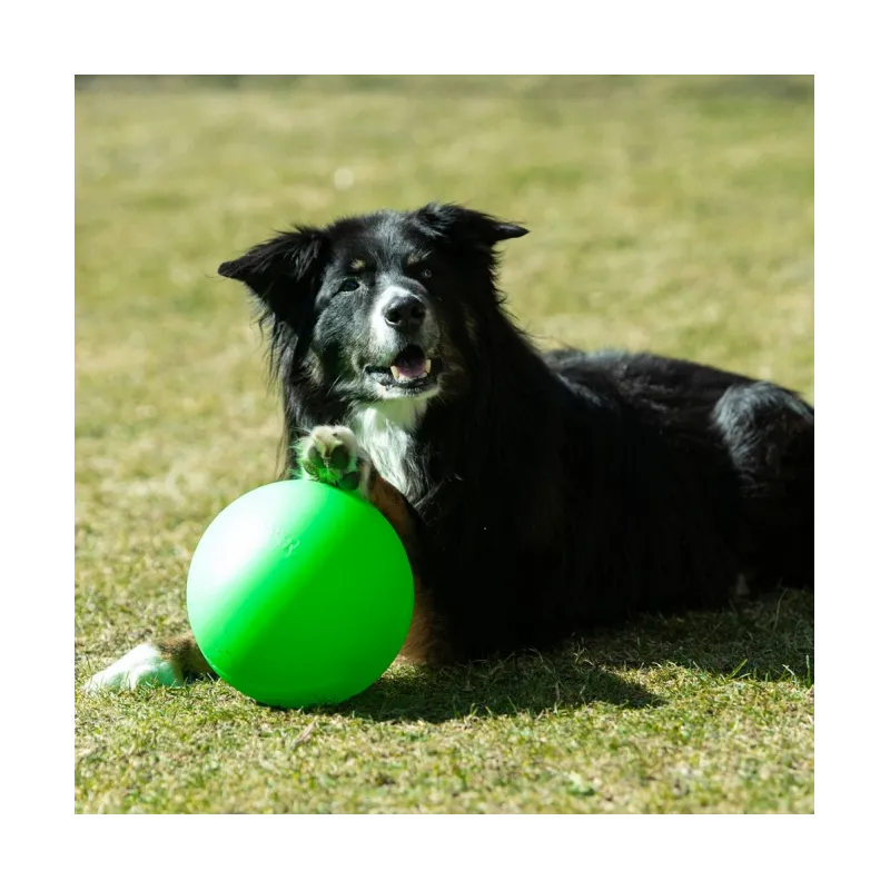 Hundespielzeug & Sport PROCYON Treibball Größe S - extra stabil -...