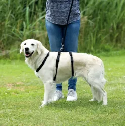 Halsbänder & Leinen Trixie Panikgeschirr Stay - XS-S, 30-40 cm/10...