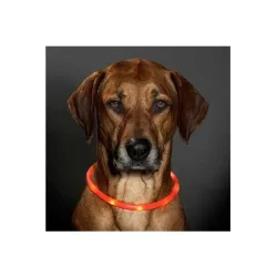 Halsbänder & Leinen Karlie Visio Light LED-Leuchtschlauch mit USB...