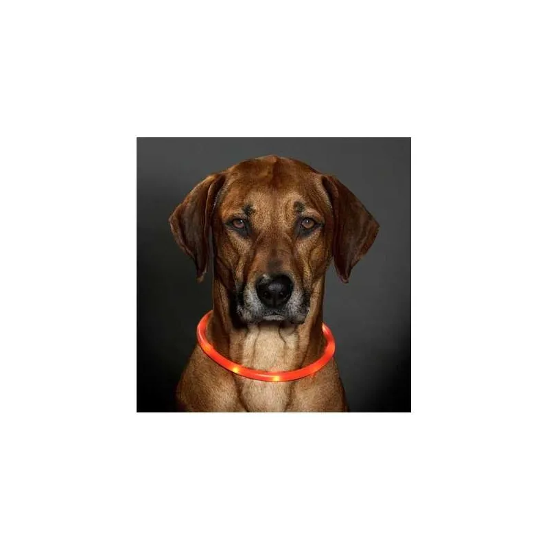 Halsbänder & Leinen Karlie Visio Light LED-Leuchtschlauch mit USB...