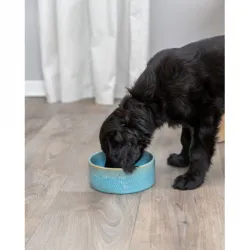 Hundenäpfe & Tränken Trixie Keramiknapf mit Musterung - blau - 0,9...
