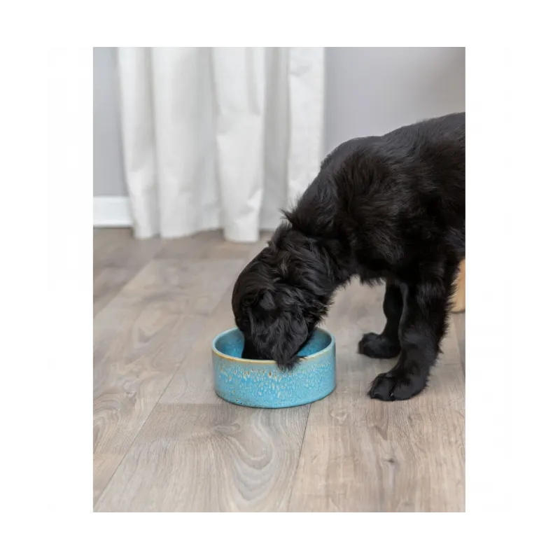 Hundenäpfe & Tränken Trixie Keramiknapf mit Musterung - blau - 0,9...