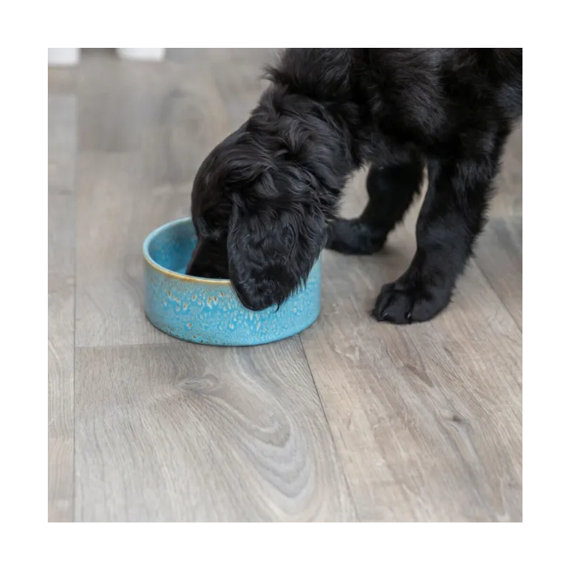 Hundenäpfe & Tränken Trixie Keramiknapf mit Musterung - blau - 0,9...