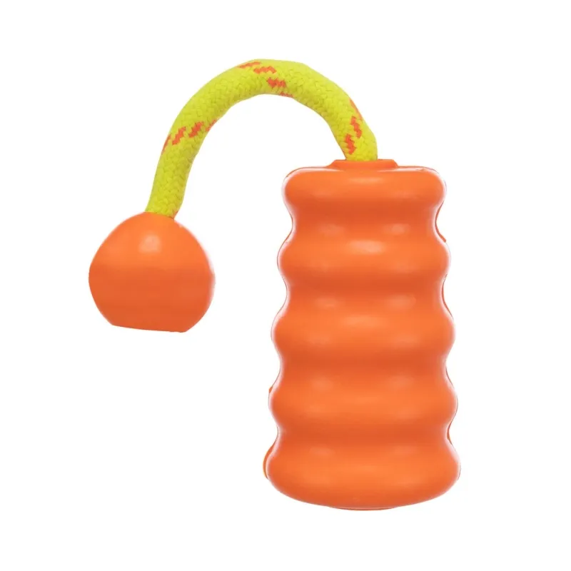 Hundespielzeug & Sport Trixie Aqua Toy MOT®-Fun jetzt online