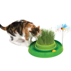 Katzenspielzeug CATIT Play-n-Scratch mit Grasgarten - Grün jetzt...