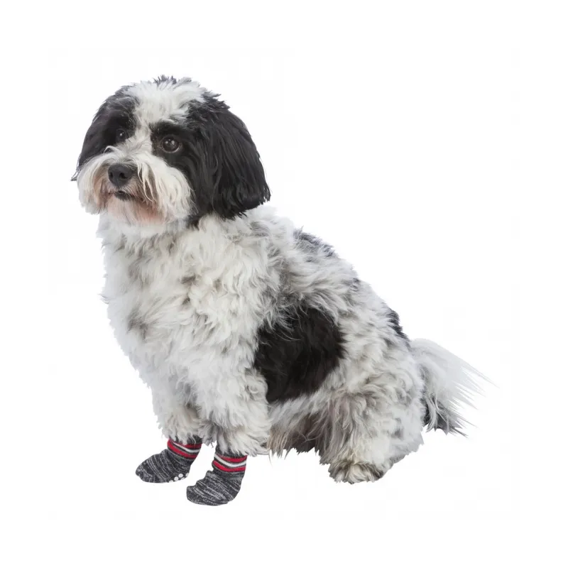 Hundebekleidung Trixie Hundesocken - Grau - XXS-XS jetzt online