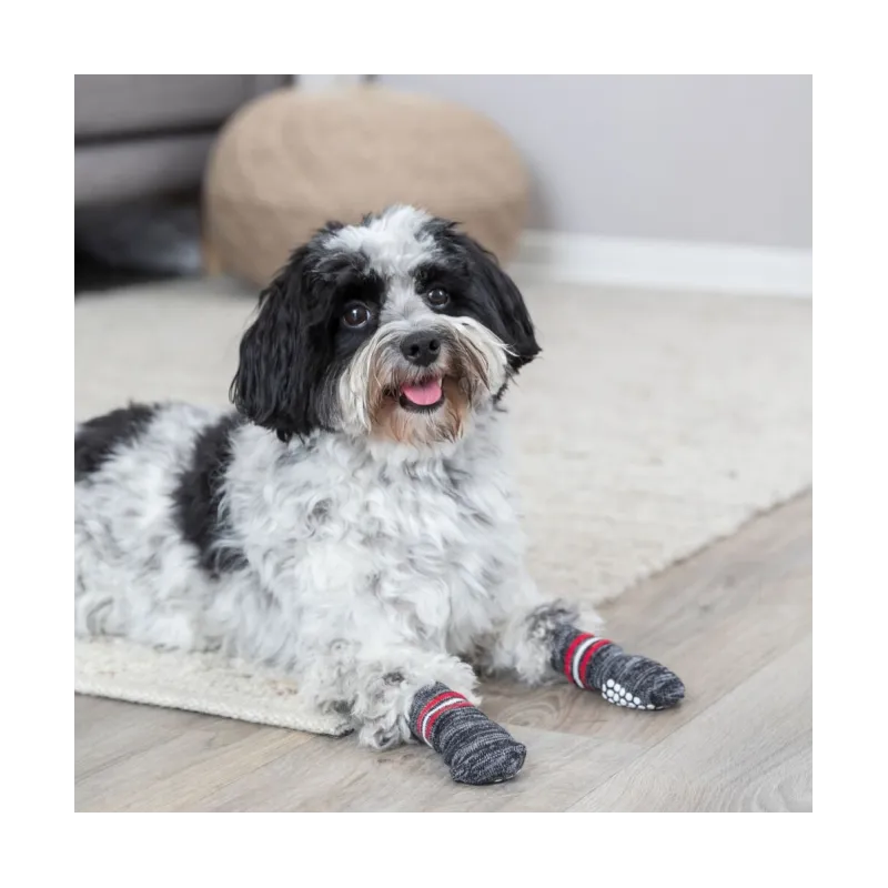 Hundebekleidung Trixie Hundesocken - Grau - XXS-XS jetzt online