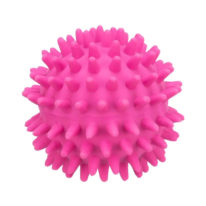 Hundespielzeug & Sport Trixie Igelball aus Latex - 7 cm jetzt online