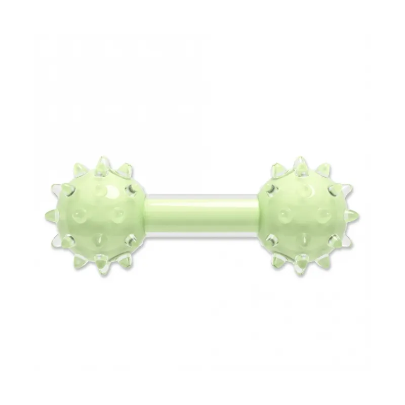 Hundespielzeug & Sport Zeus Duo Hantel mit Noppen und Minzduft...