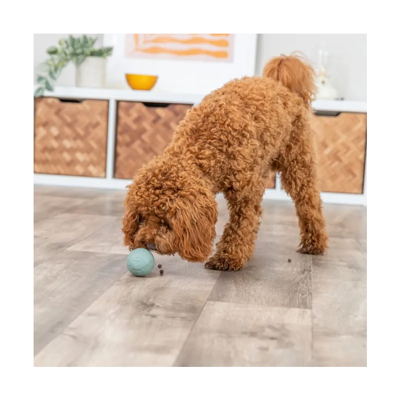 Hundespielzeug & Sport Trixie Labyrinth-Snacky...