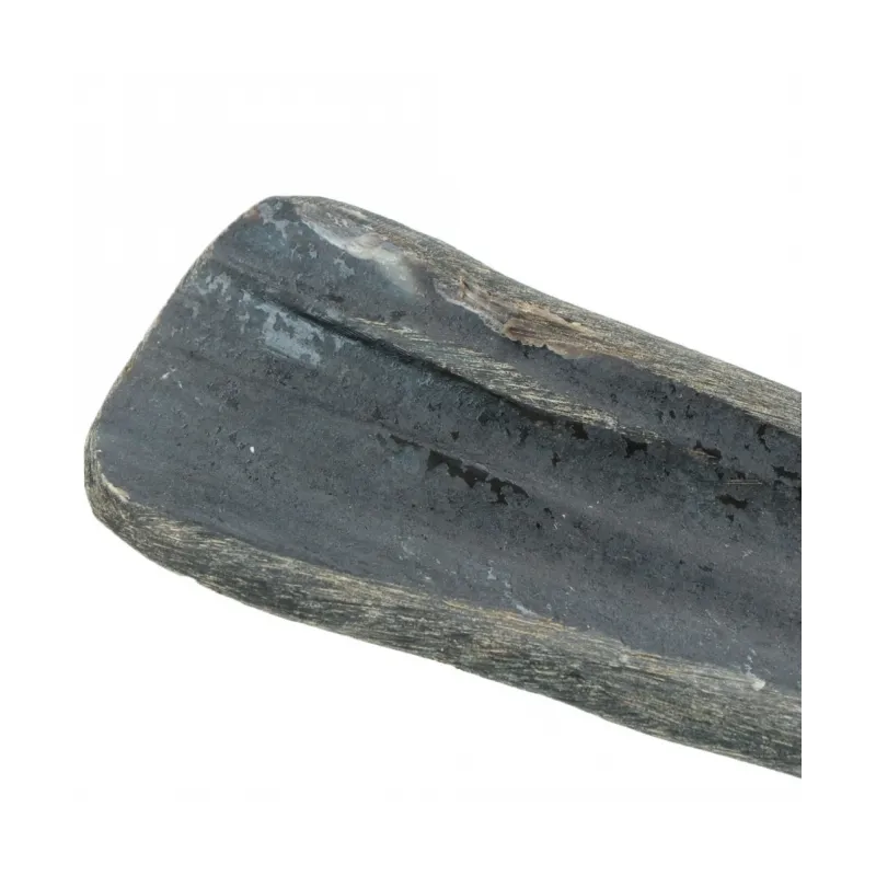 Hundespielzeug & Sport Viking half Horn - L jetzt online