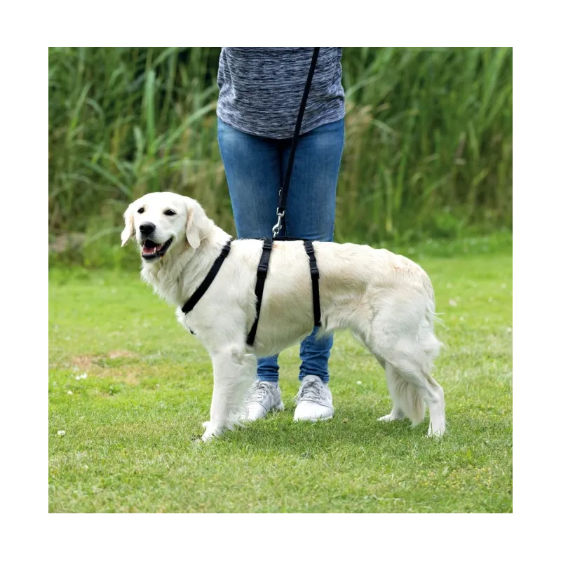 Halsbänder & Leinen Trixie Panikgeschirr Stay - L-XL, 75-100 cm/25...