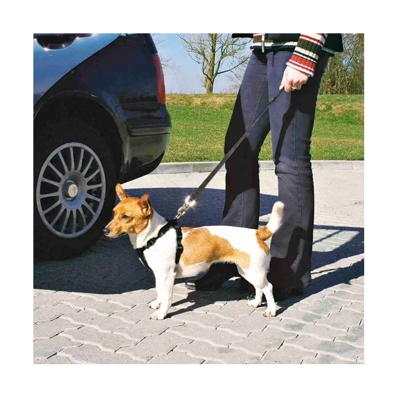 Reise & Transport Trixie Auto-Sicherheitsgeschirr - XS jetzt online