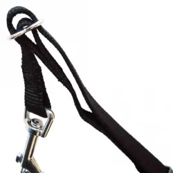 Reise & Transport Trixie Auto-Sicherheitsgeschirr - XS jetzt online