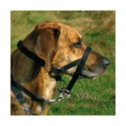 Halsbänder & Leinen Trixie Top Trainer Ausbildungsgeschirr - max....