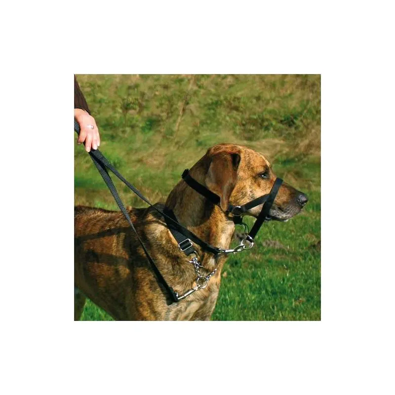 Halsbänder & Leinen Trixie Top Trainer Ausbildungsgeschirr - max....