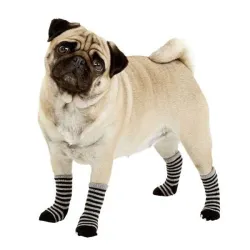 Pflege & Gesundheit Karlie Doggy Socks Hundesocken 4er Set -...