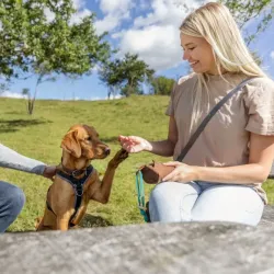 Unterwegs Trixie Preydummy - Canvas, Braun - 5 x 12 cm jetzt online