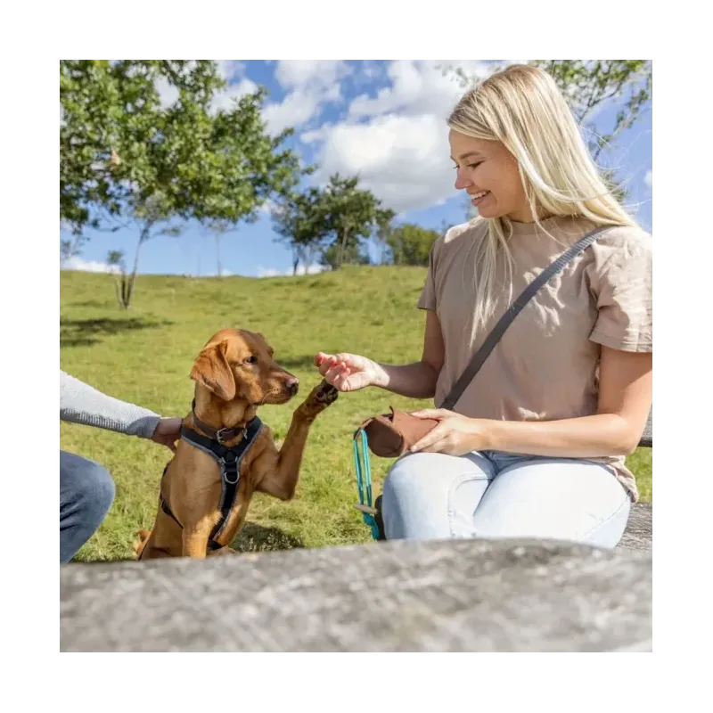 Unterwegs Trixie Preydummy - Canvas, Braun - 5 x 12 cm jetzt online