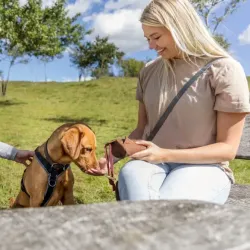 Unterwegs Trixie Preydummy - Canvas, Braun - 5 x 12 cm jetzt online