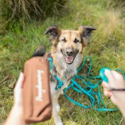 Unterwegs Trixie Preydummy - Canvas, Braun - 6 x 14 cm jetzt online