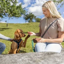 Unterwegs Trixie Preydummy - Canvas, Braun - 6 x 14 cm jetzt online