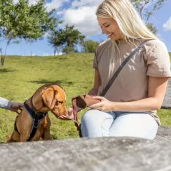 Unterwegs Trixie Preydummy - Canvas, Braun - 6 x 14 cm jetzt online