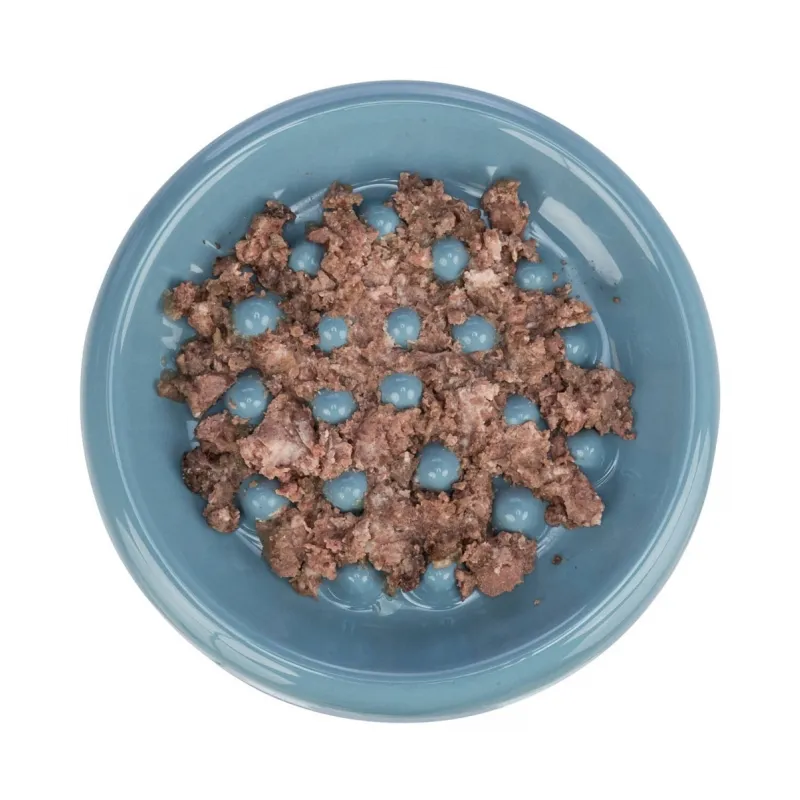 Katzennäpfe & Tränken Trixie Slow Feeding Keramiknapf jetzt online