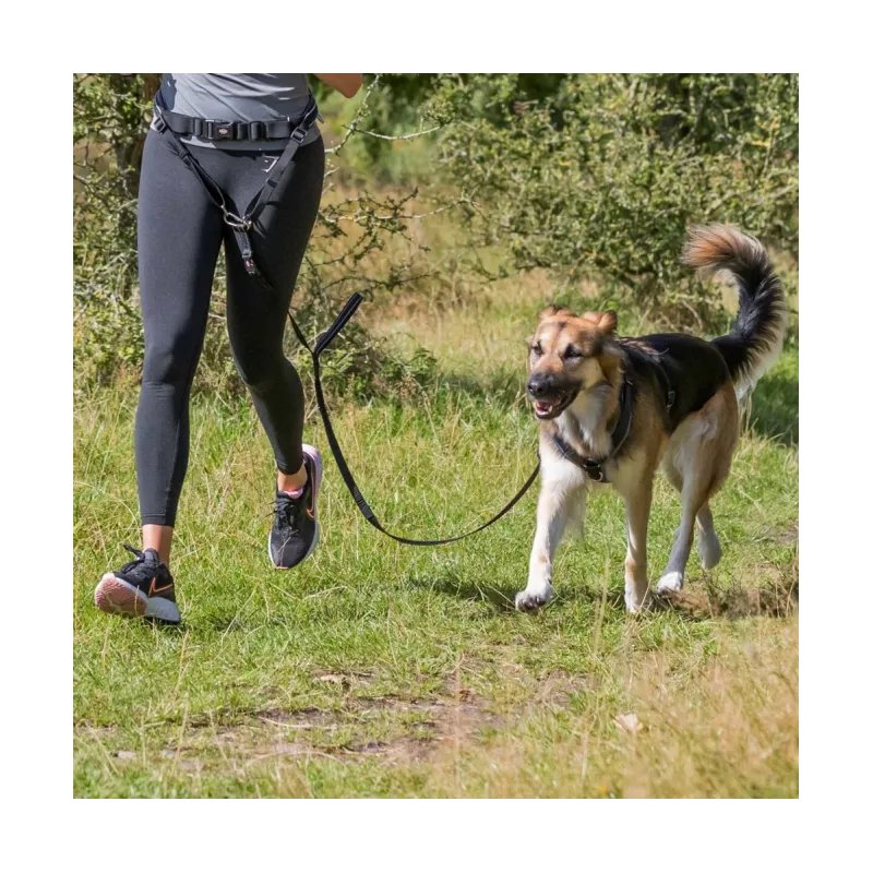 Reise & Transport Trixie Bauchgurt mit Leine für mittelgroße und...